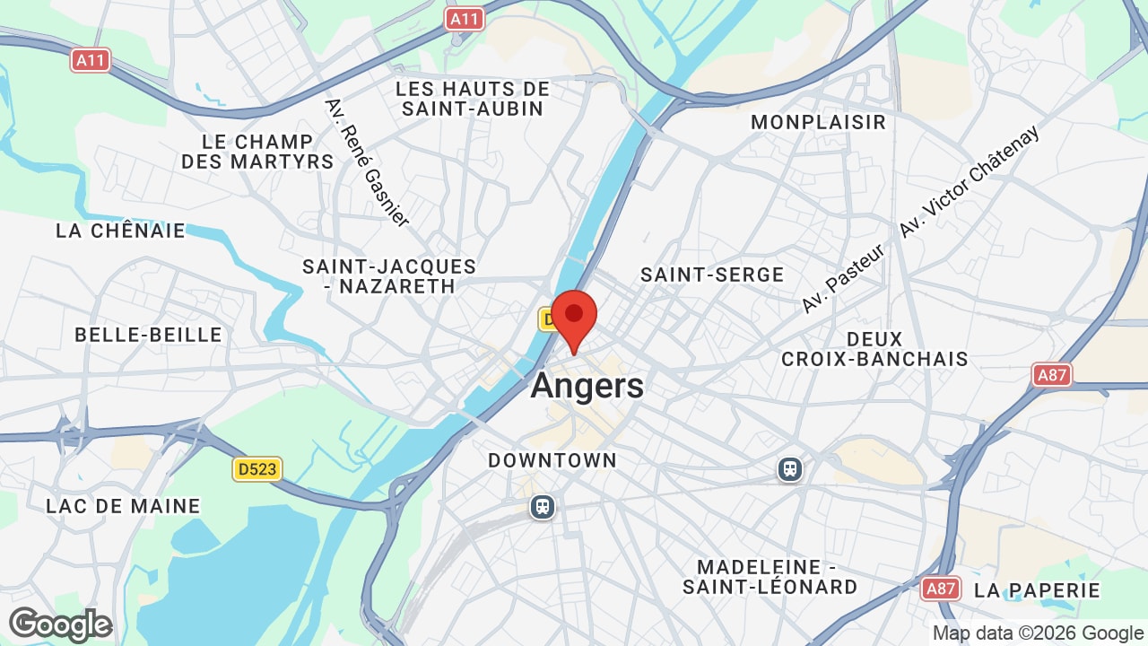 Google map