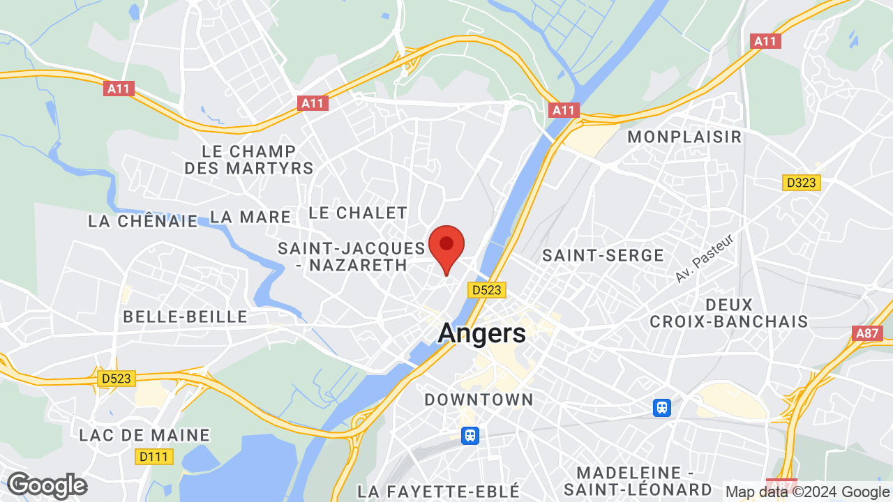 Google map
