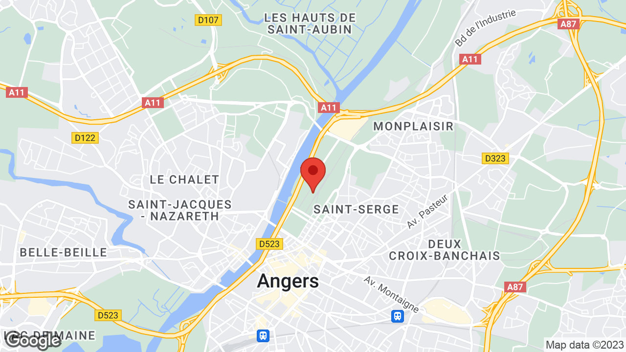 Google map
