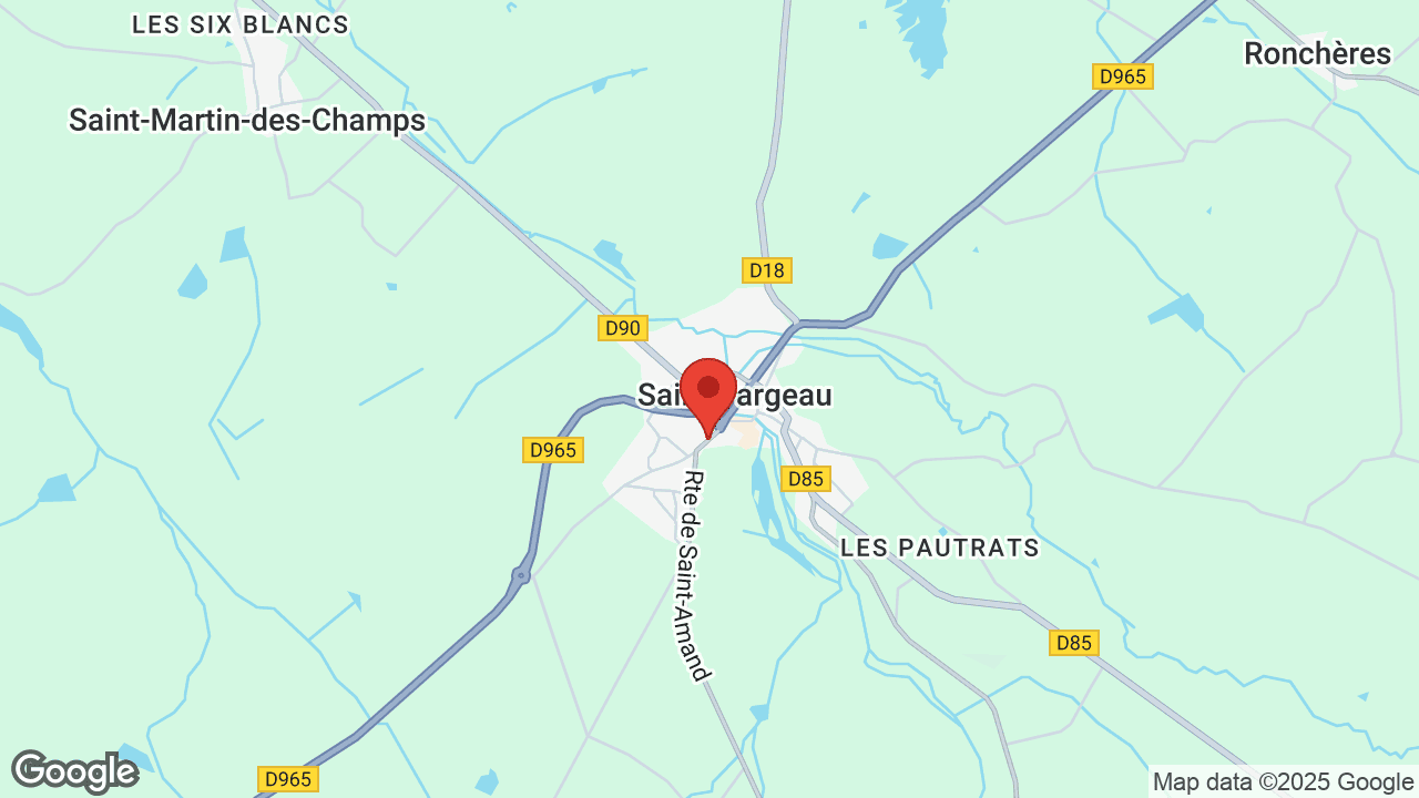 Google map
