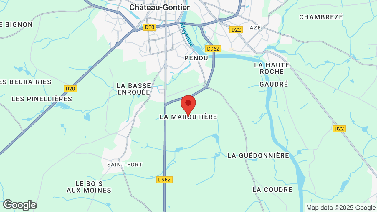 Google map