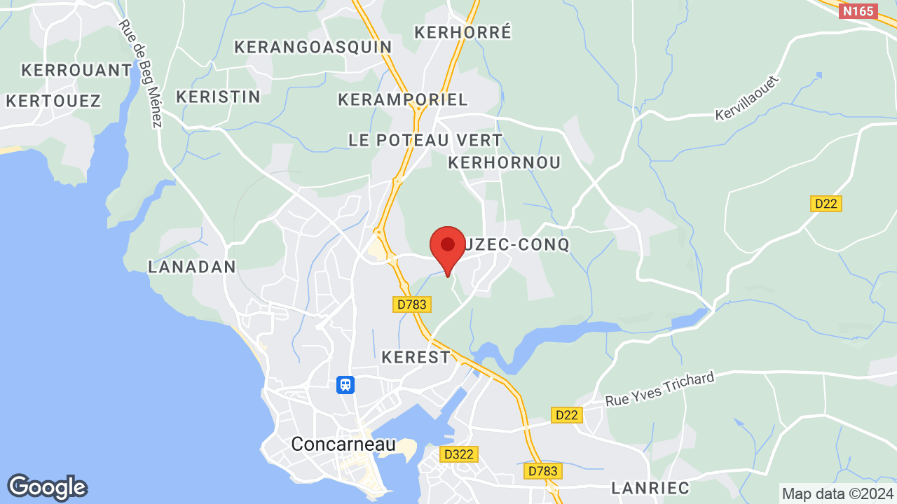 Google map