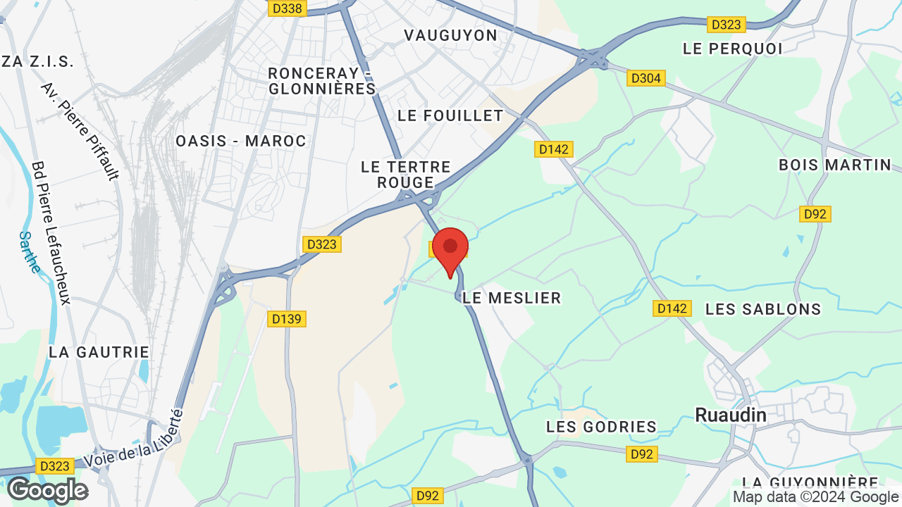 Google map