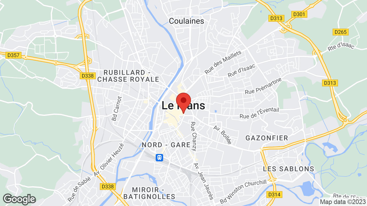 Google map