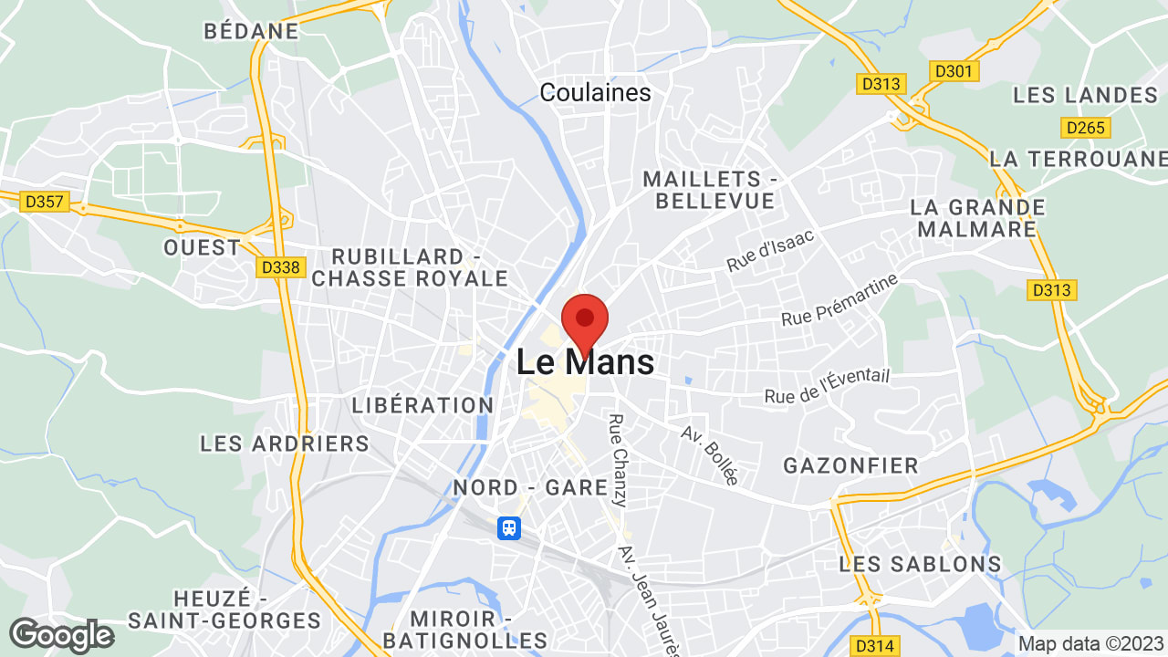 Google map