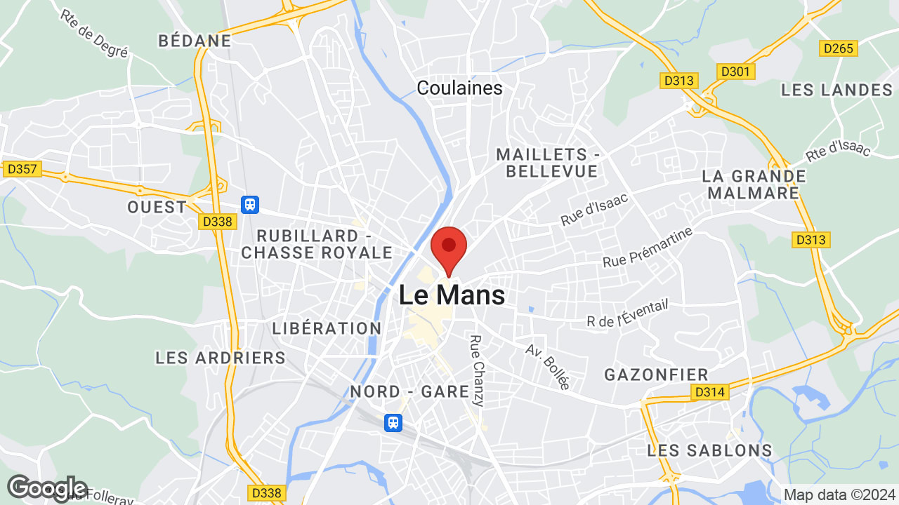 Google map