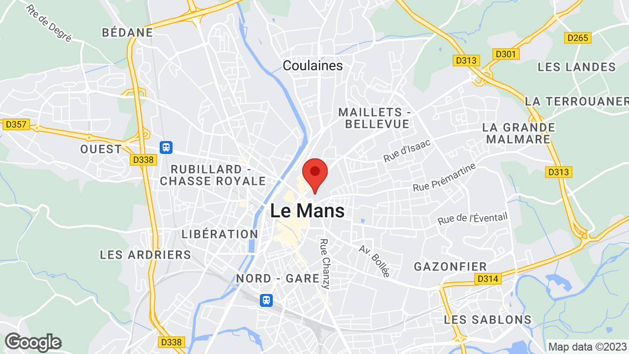 Google map