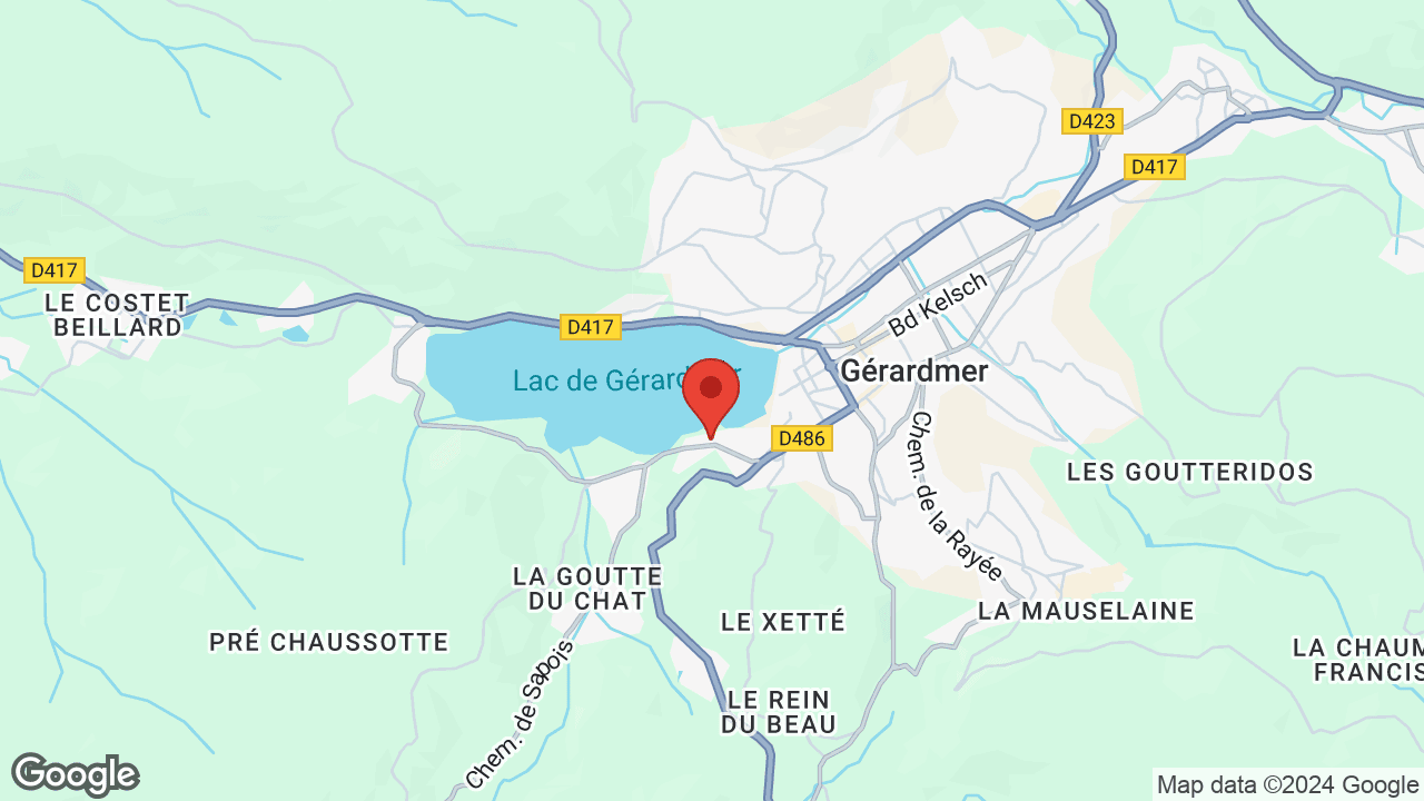 Google map