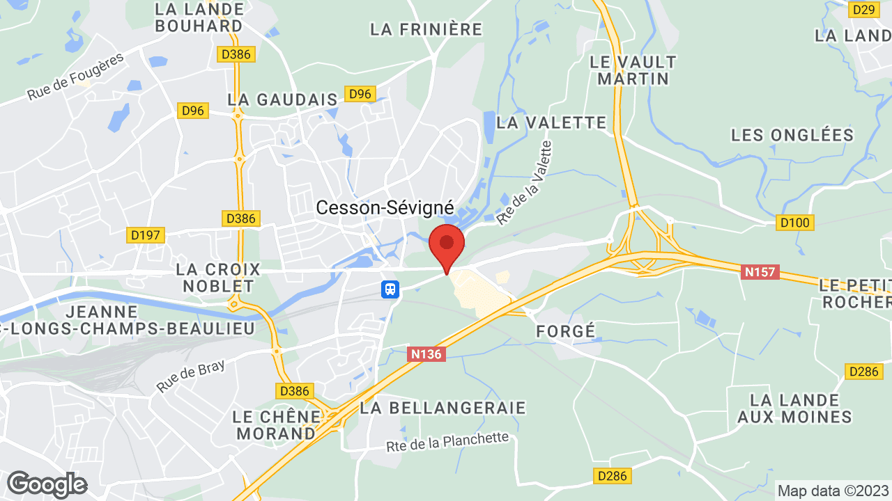 Google map