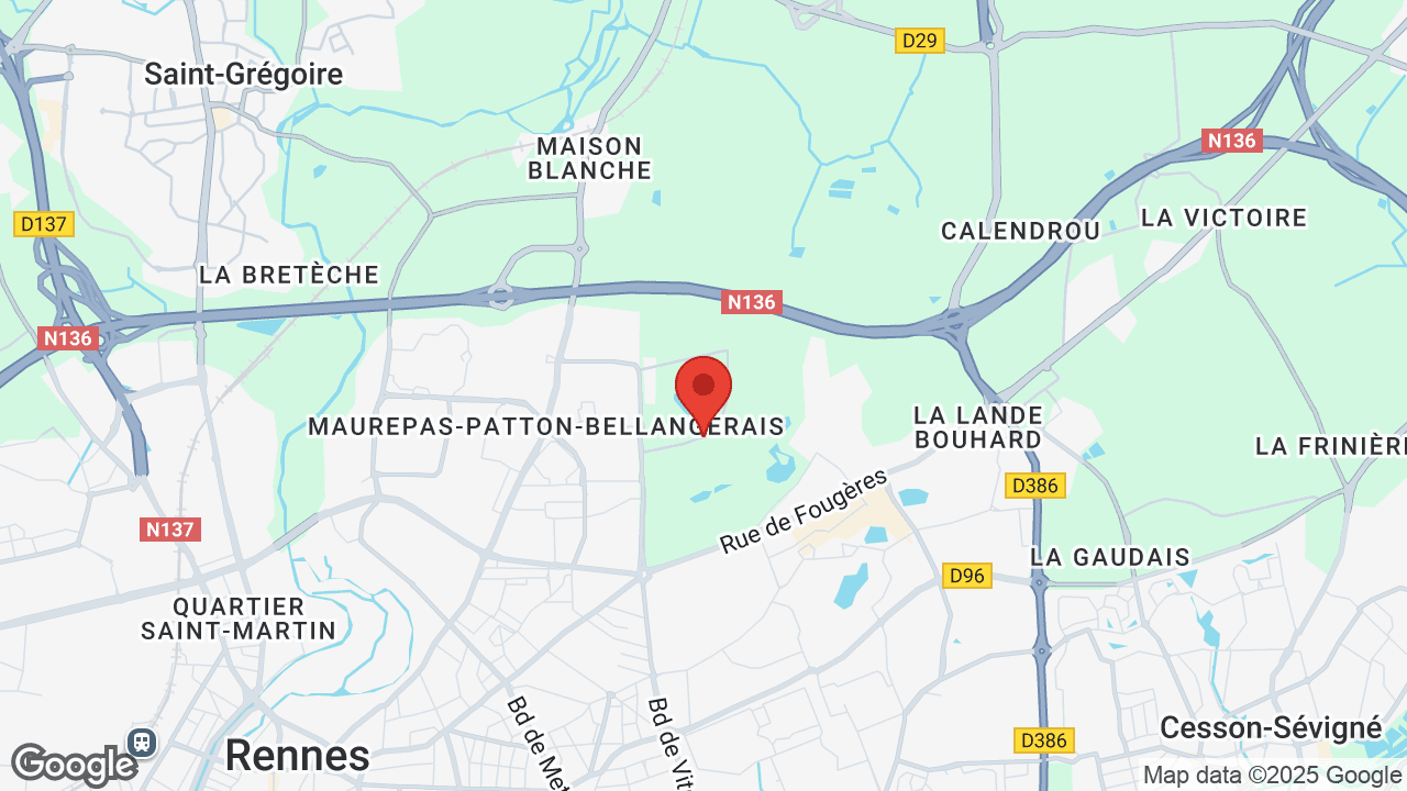 Google map