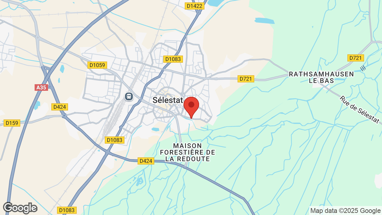 Google map