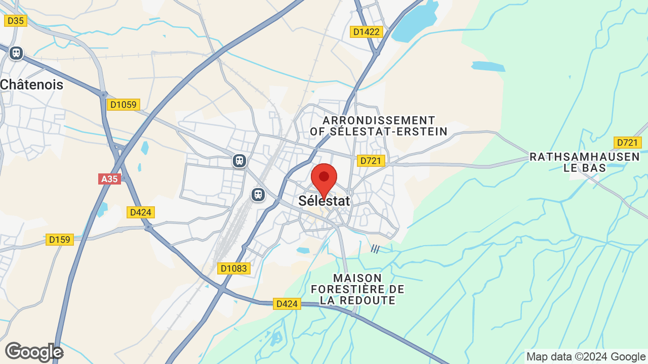 Google map