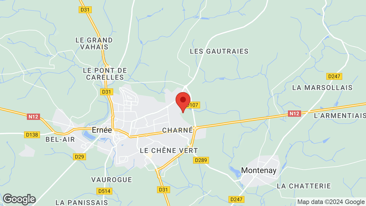 Google map