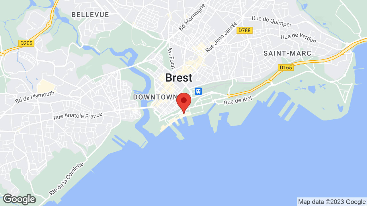 Google map