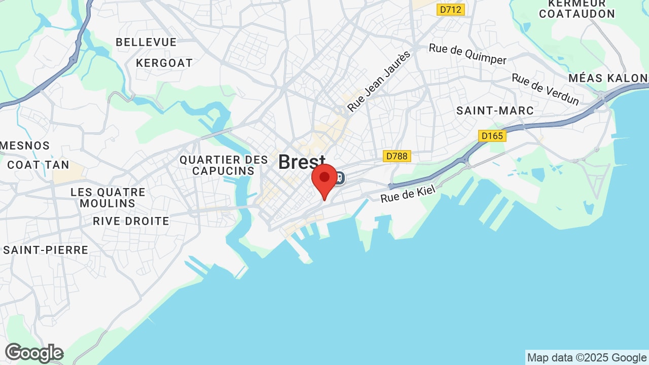 Google map