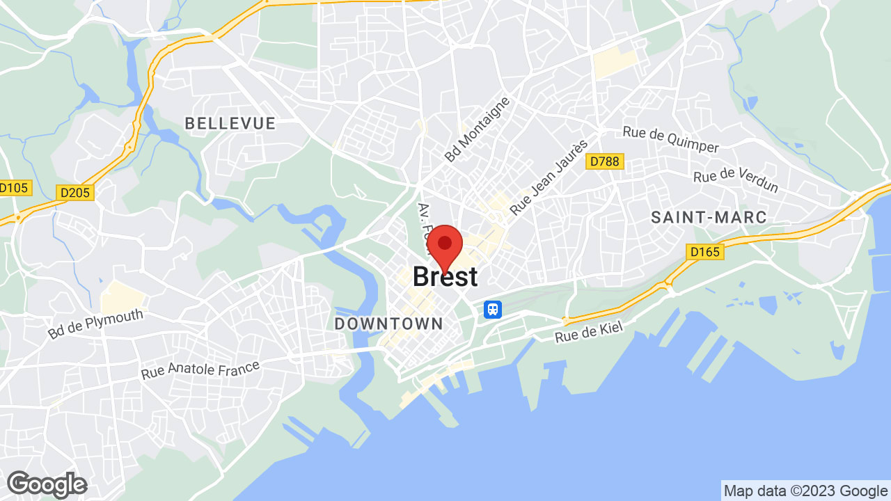Google map