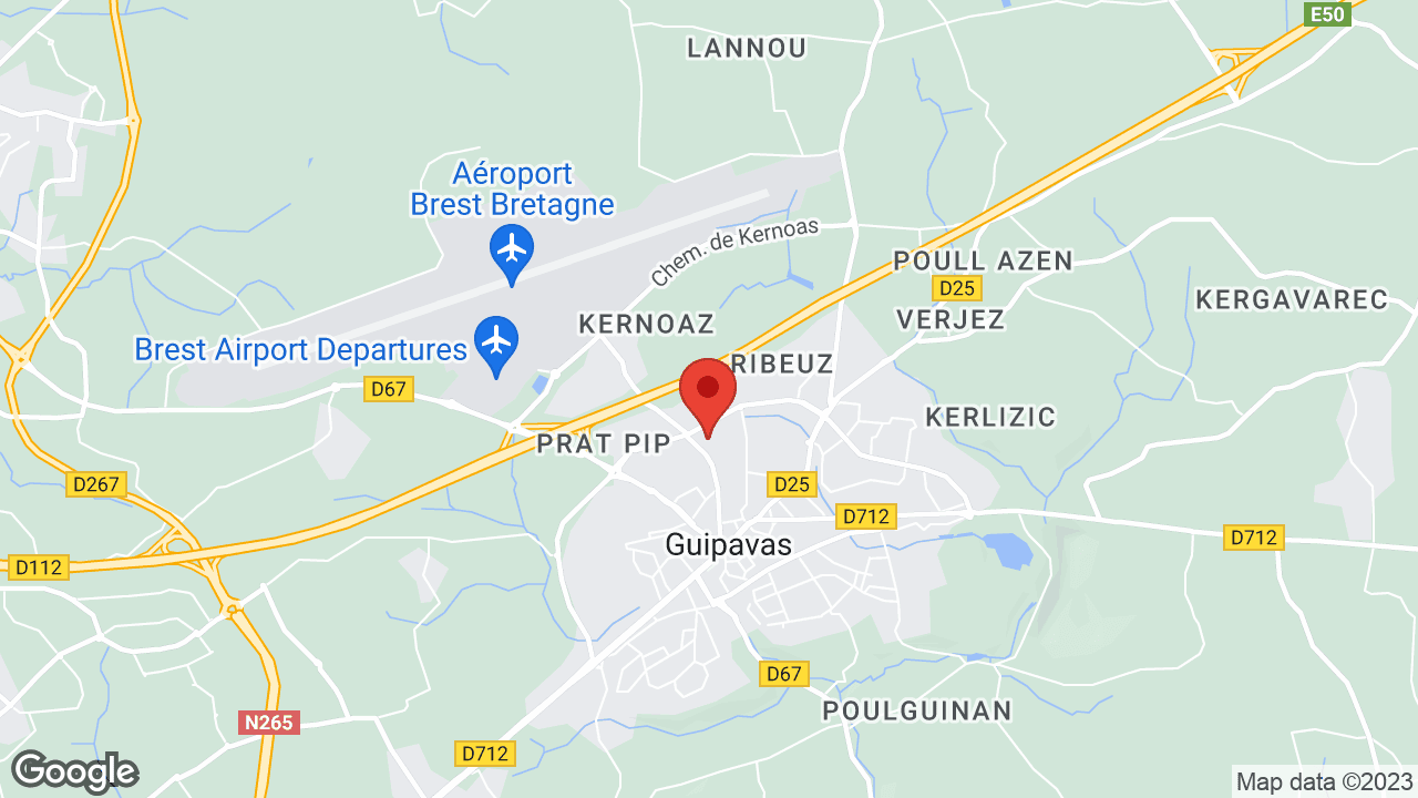 Google map