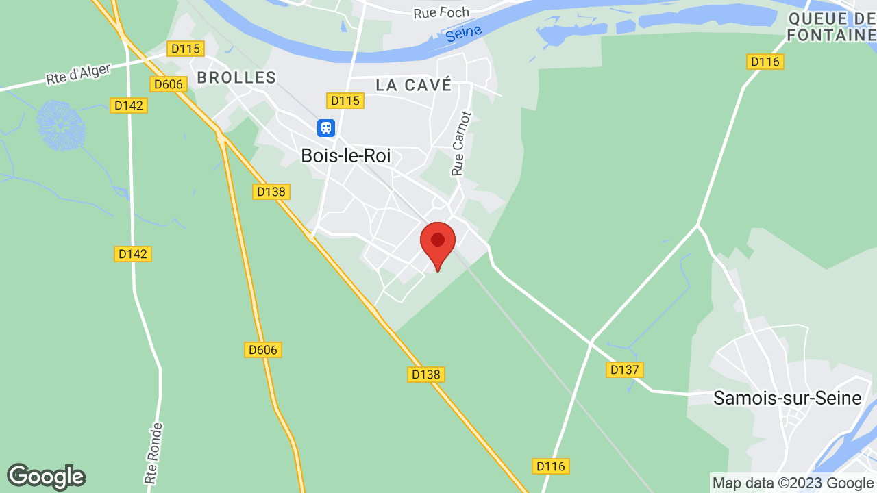 Google map
