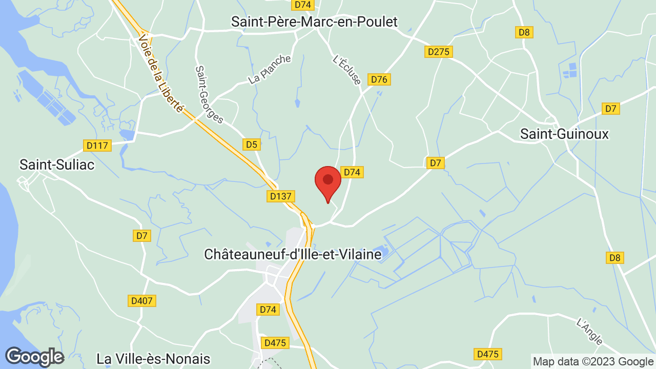 Google map