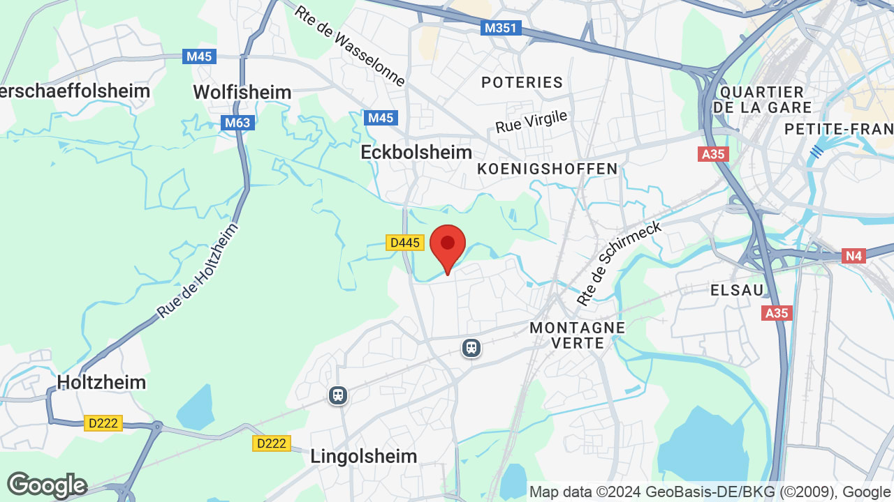 Google map