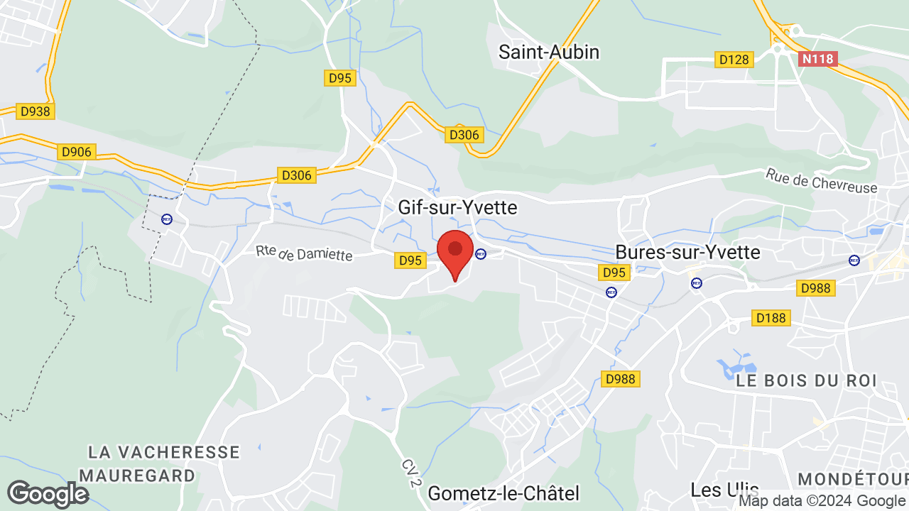 Google map