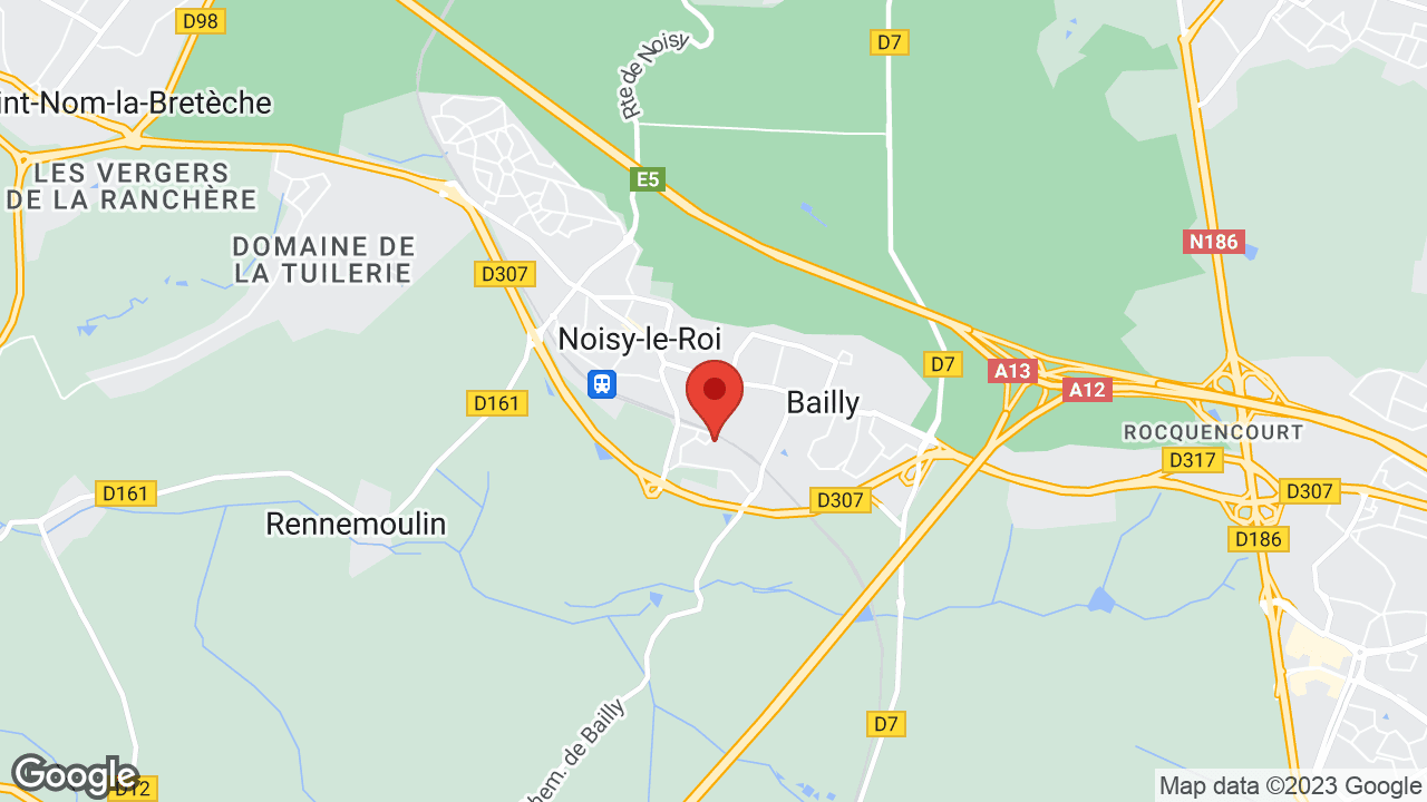 Google map