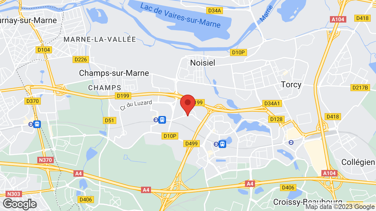 Google map