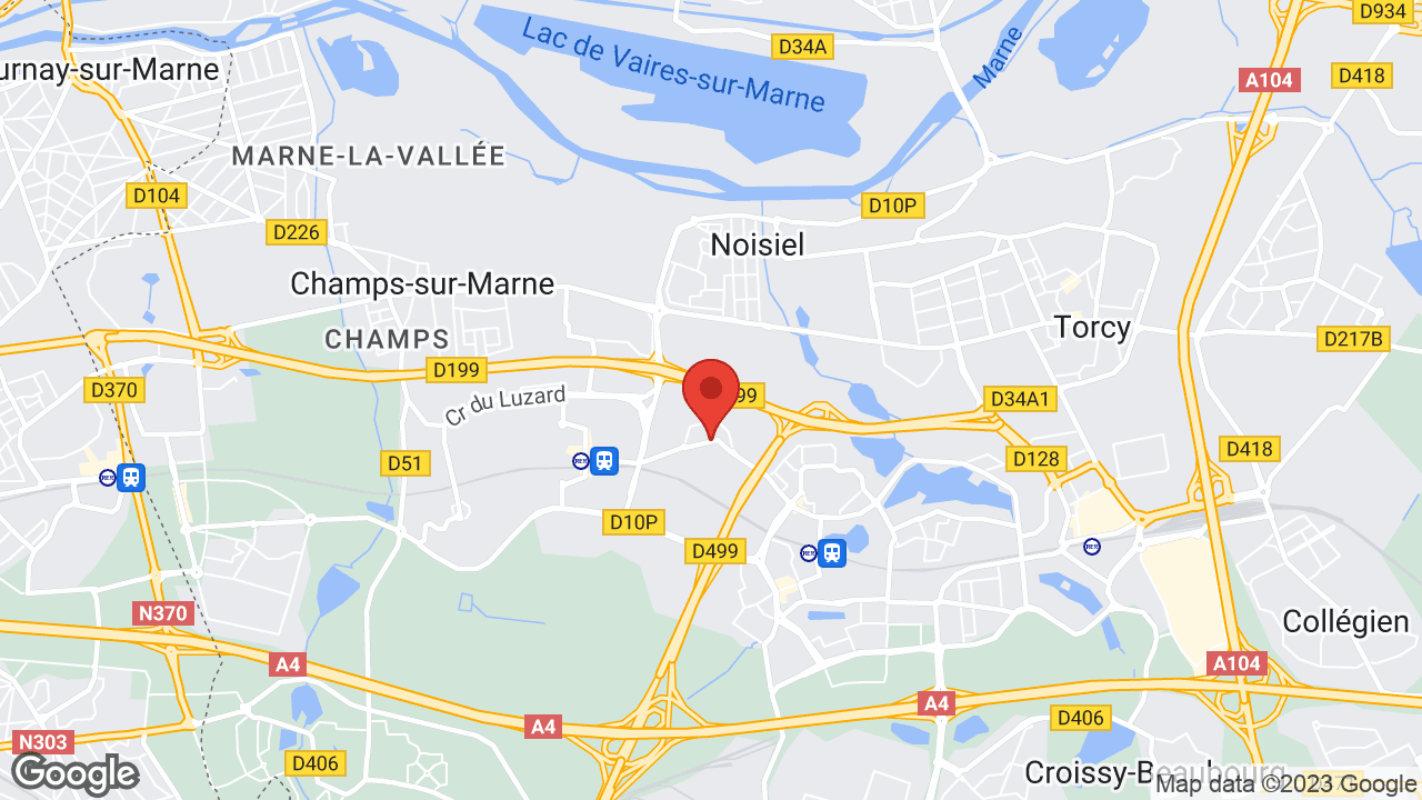 Google map
