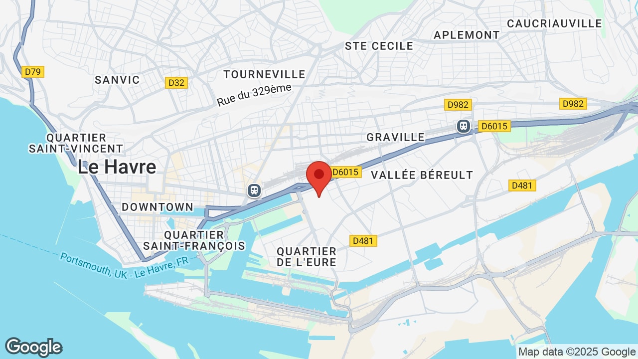 Google map