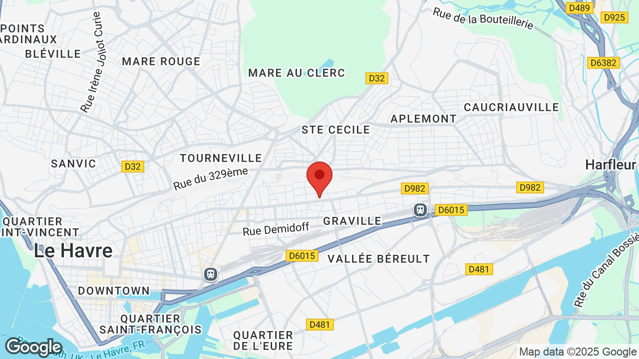 Google map
