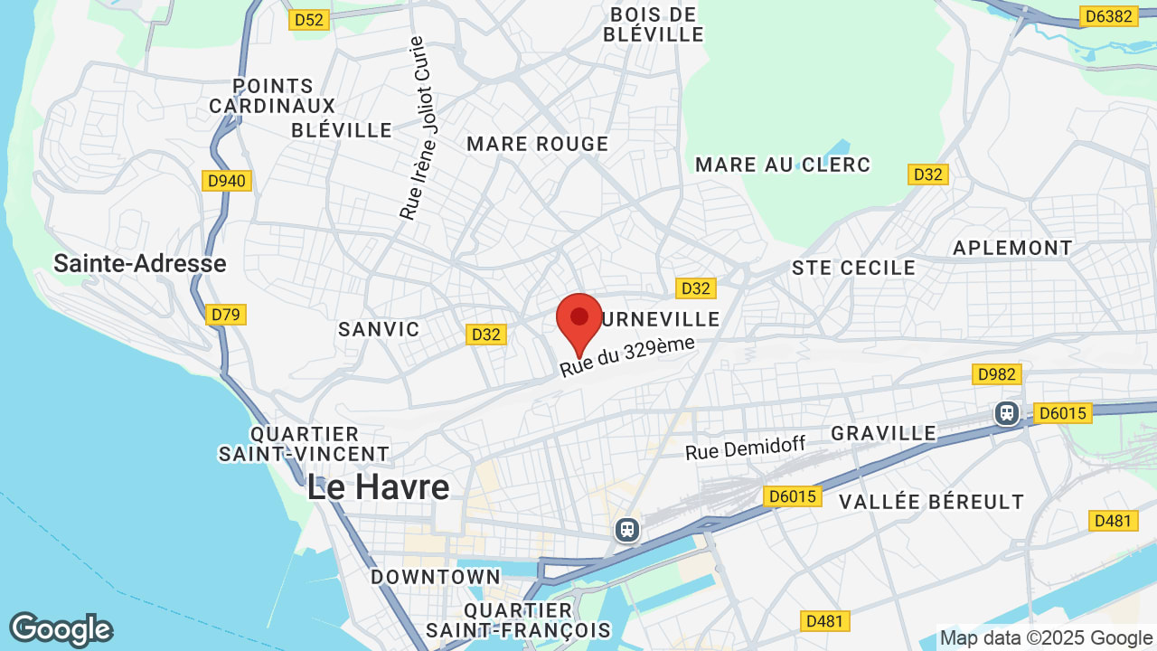 Google map