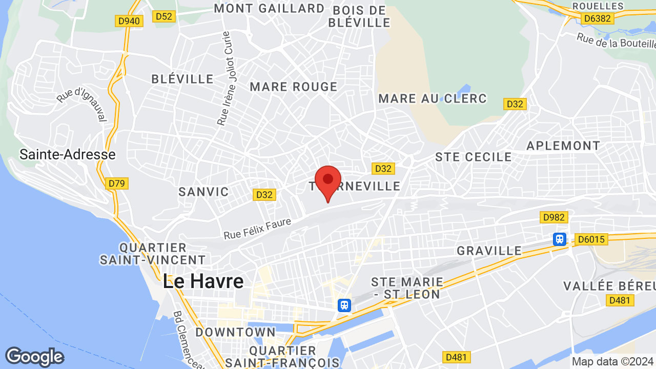 Google map