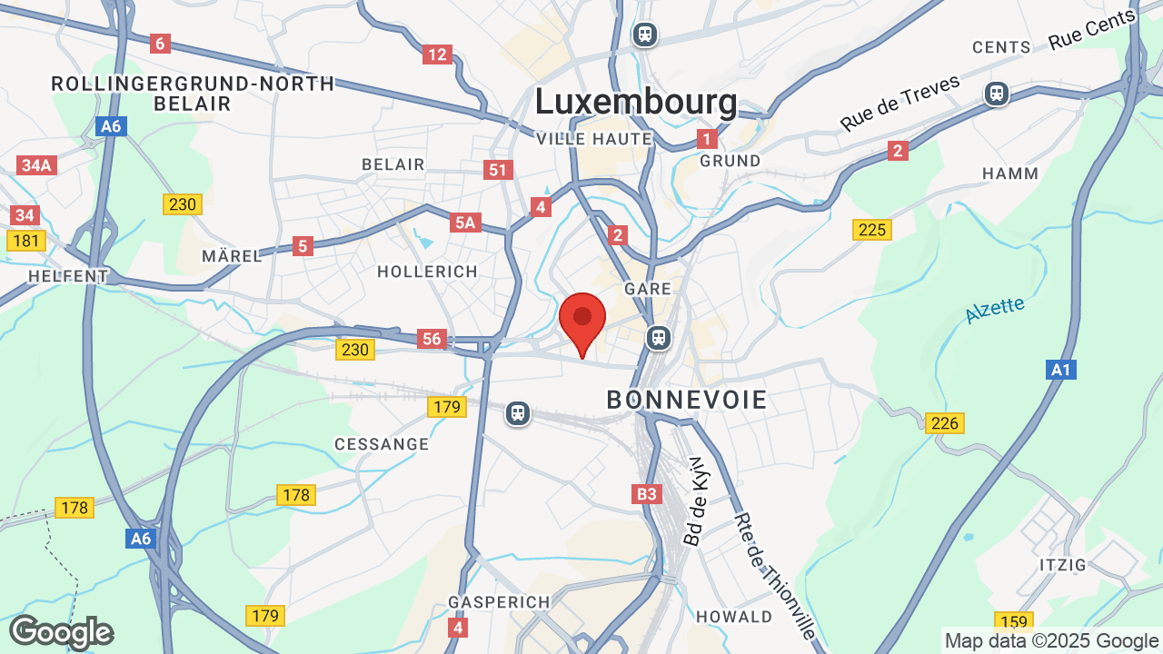 Google map