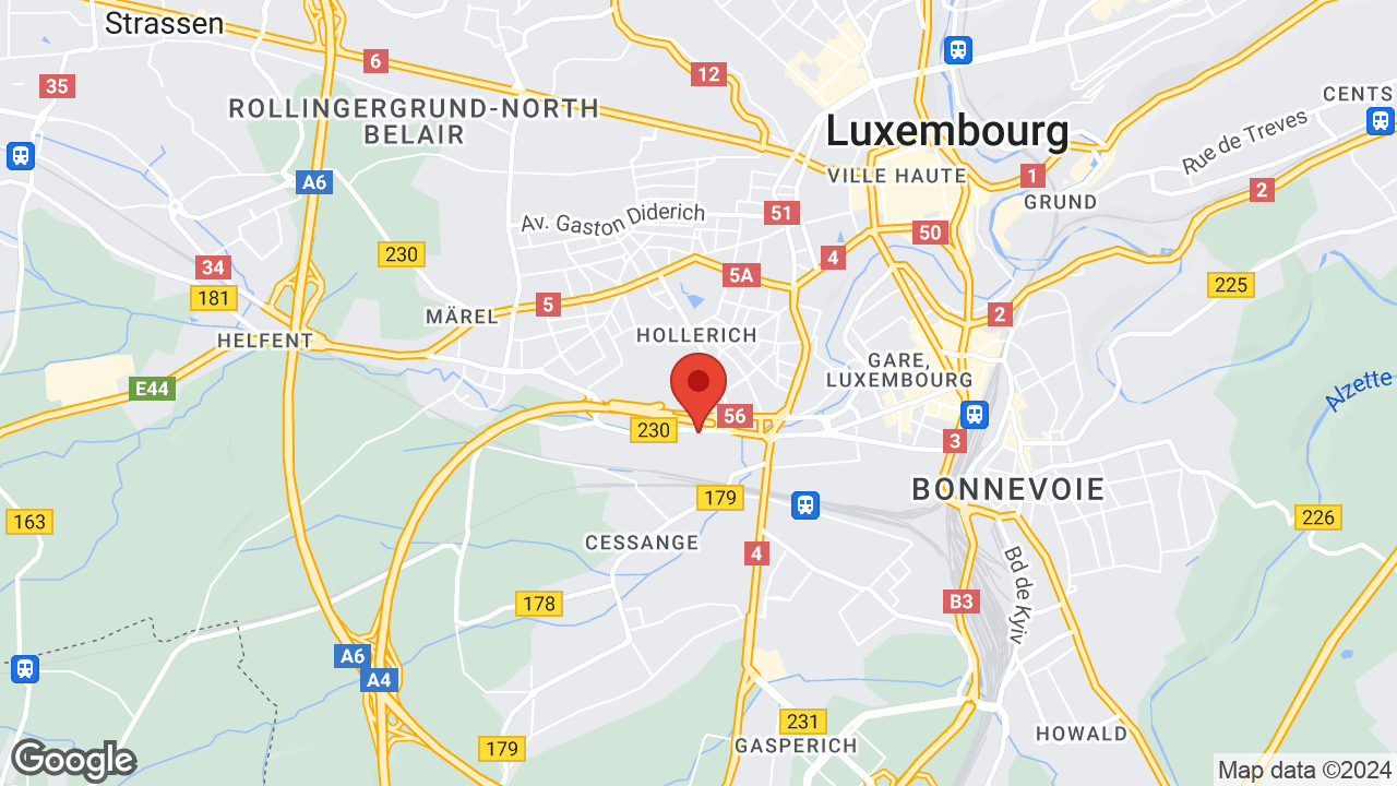 Google map