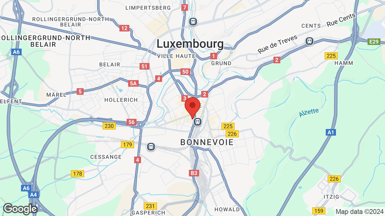 Google map