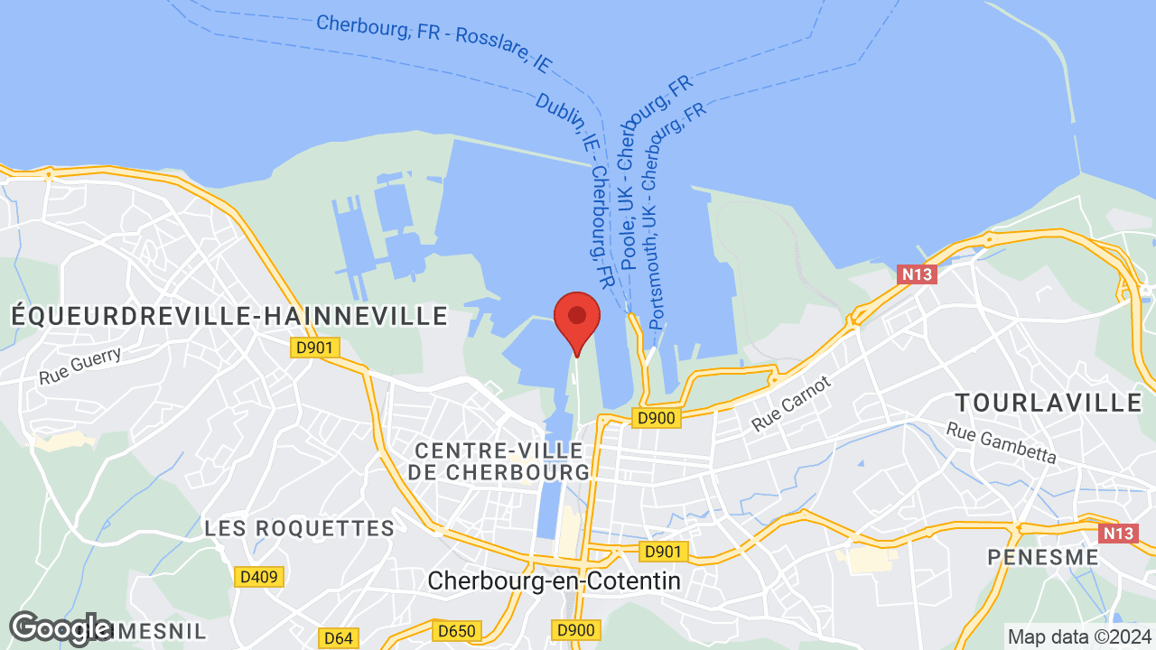 Google map