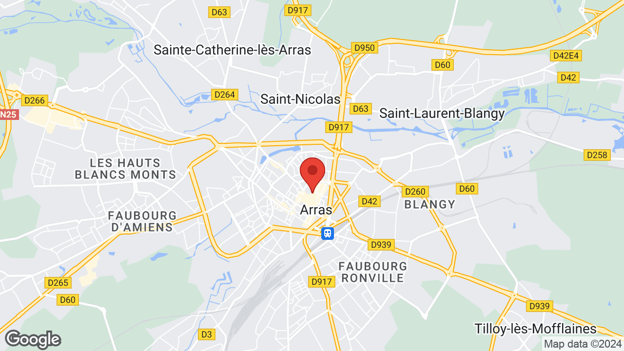 Google map
