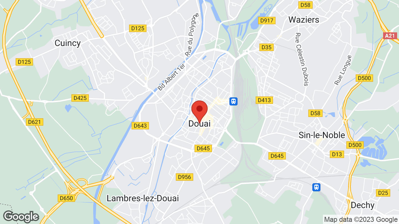 Google map