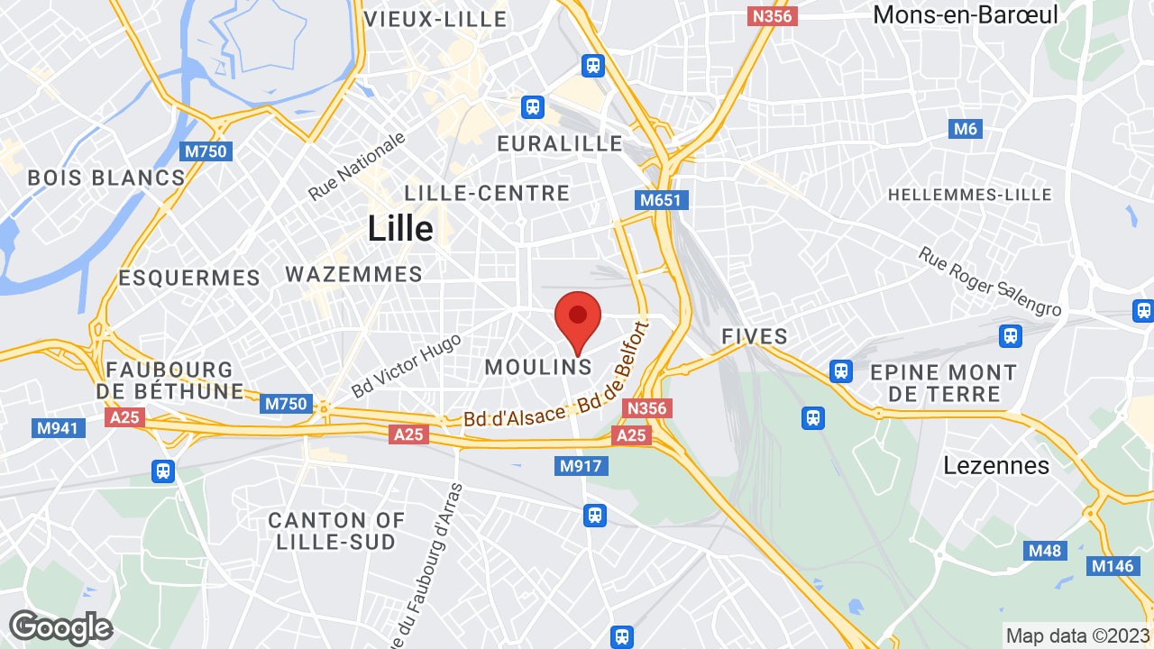 Google map