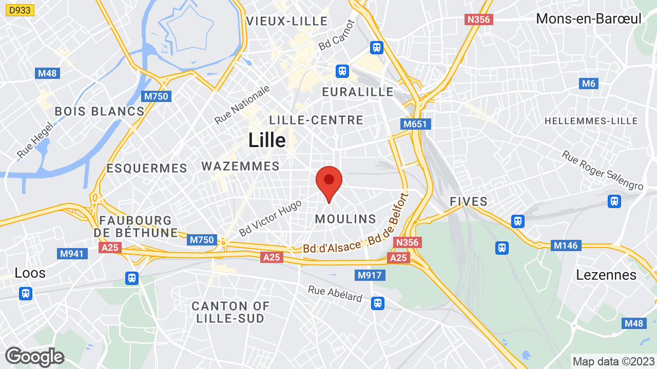 Google map