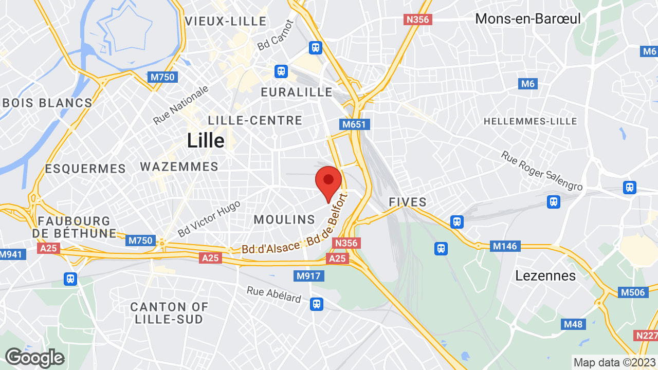 Google map