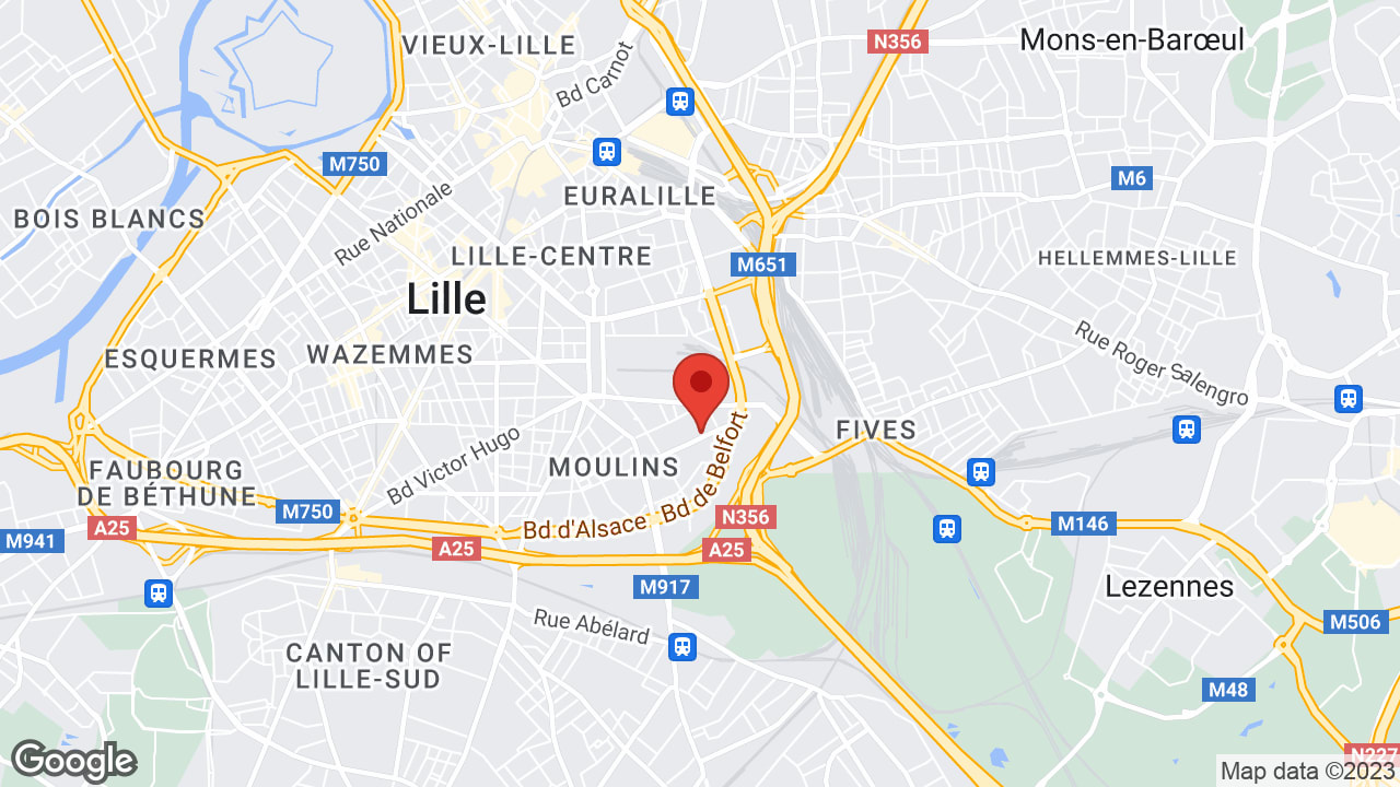 Google map