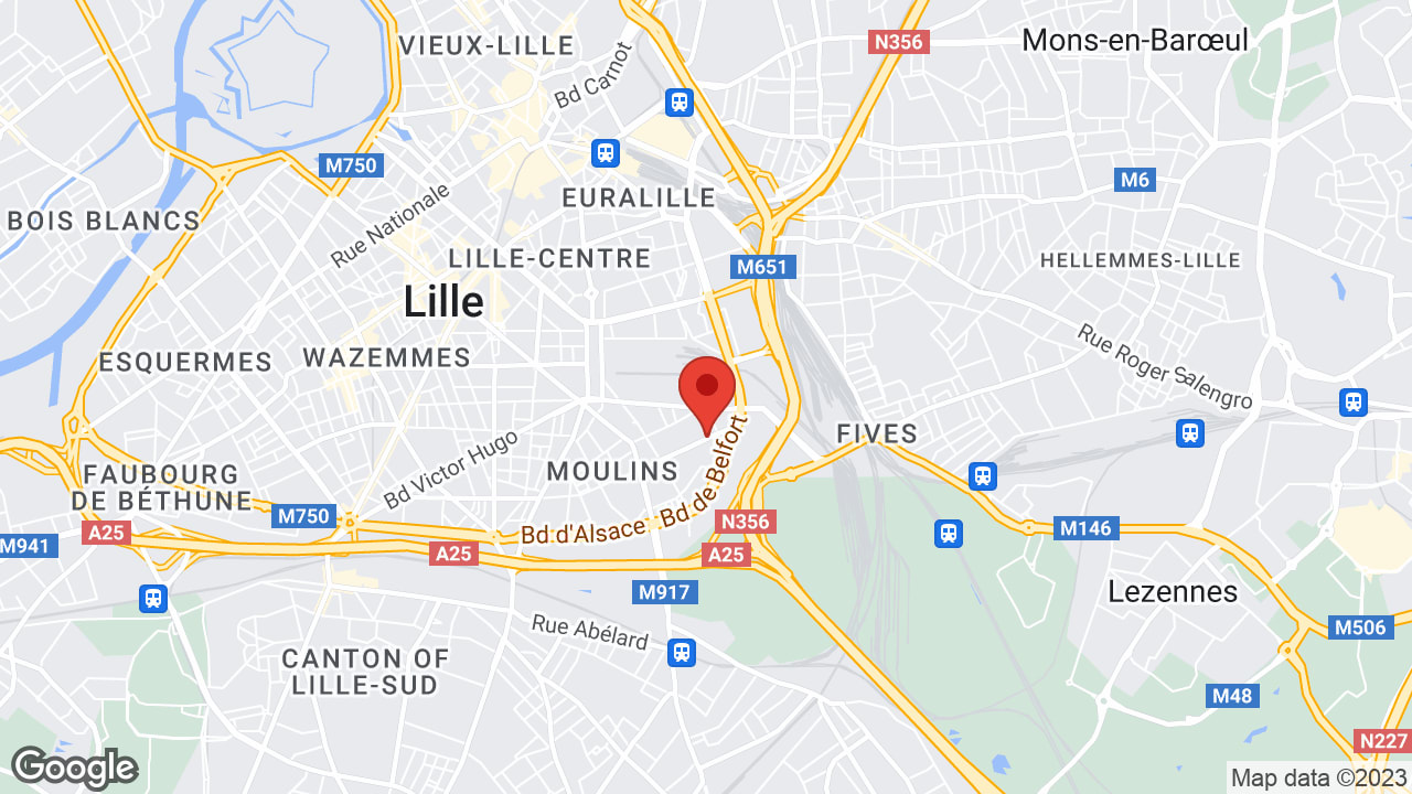 Google map