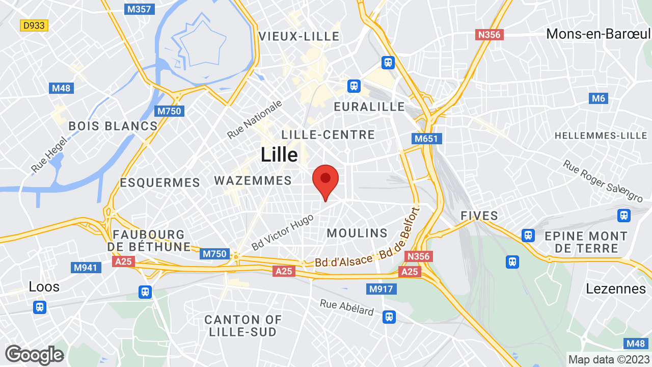 Google map