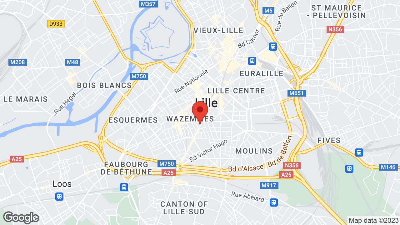Google map