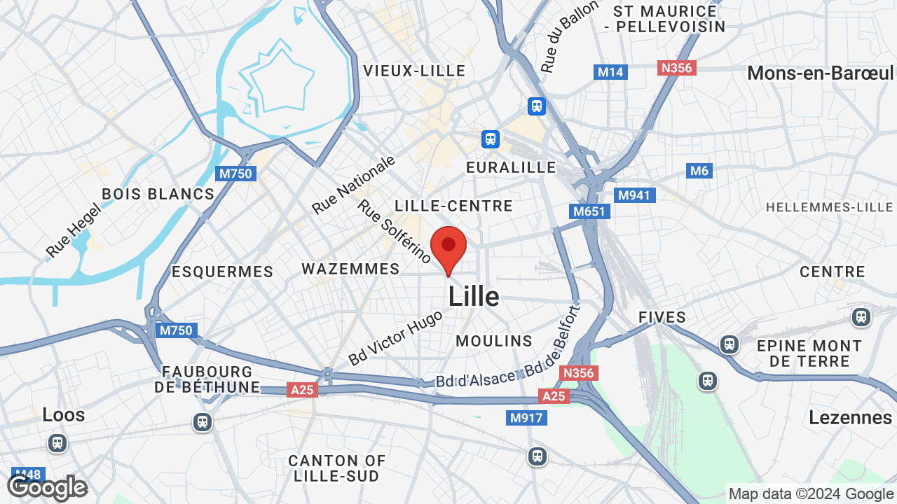 Google map