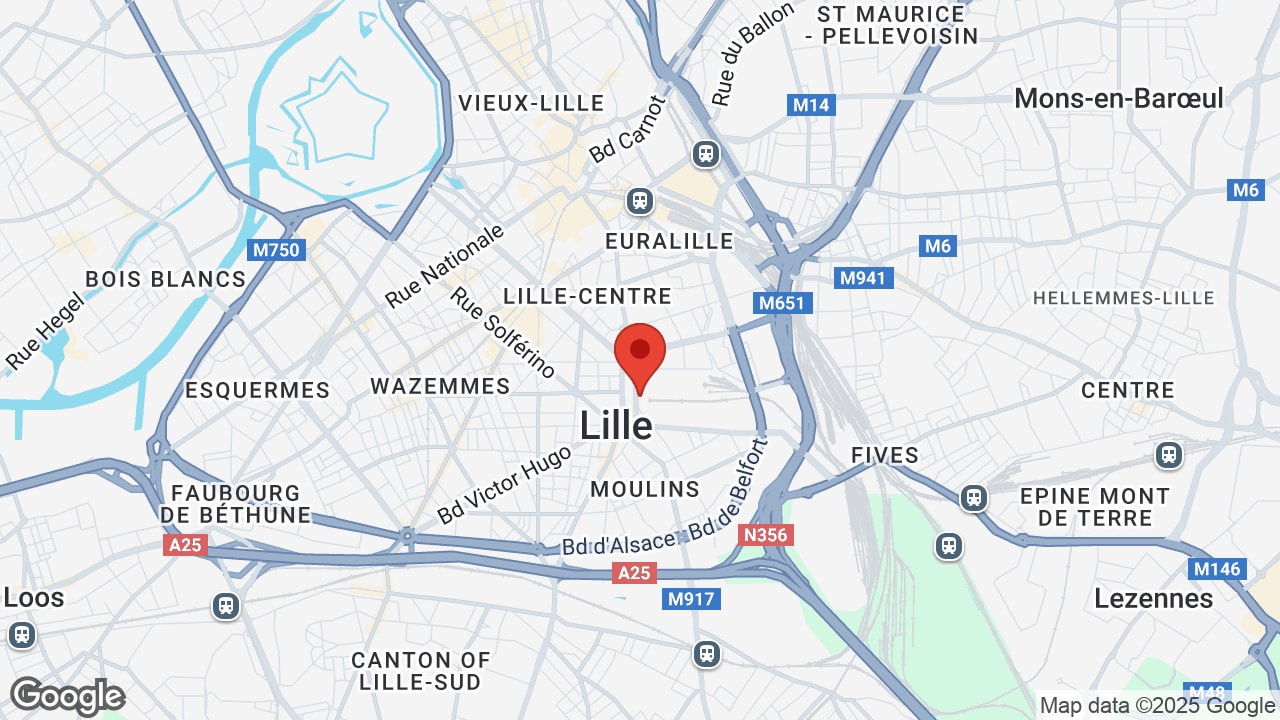 Google map