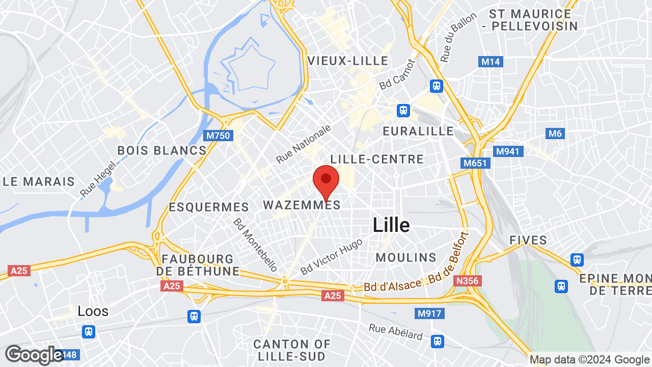 Google map