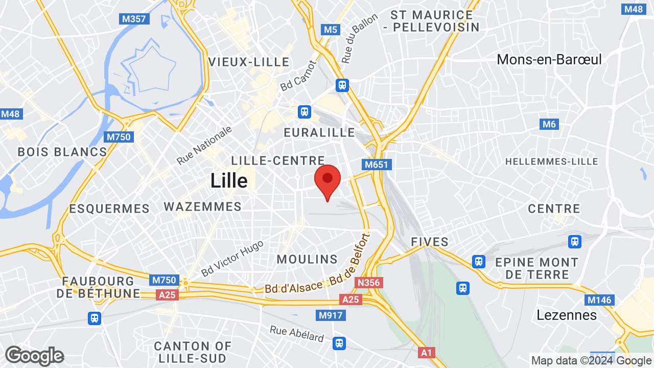 Google map