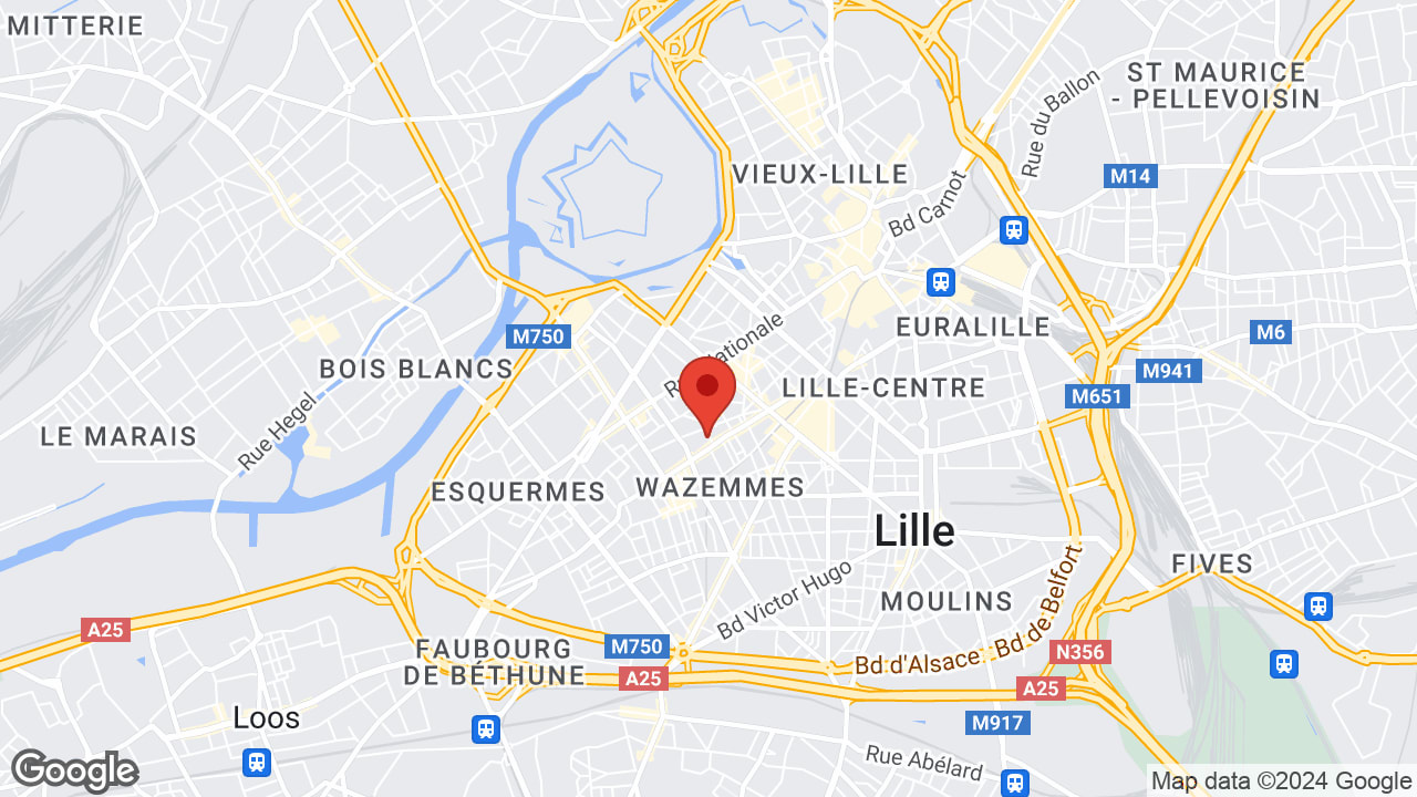 Google map